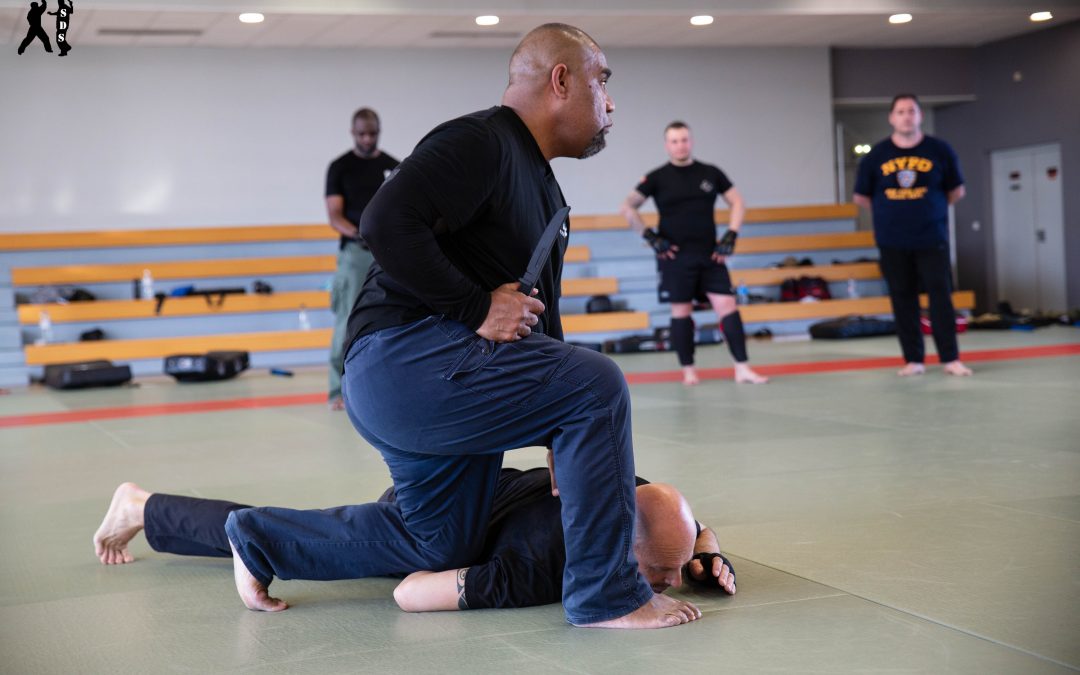 Stage Baton – Tonfa